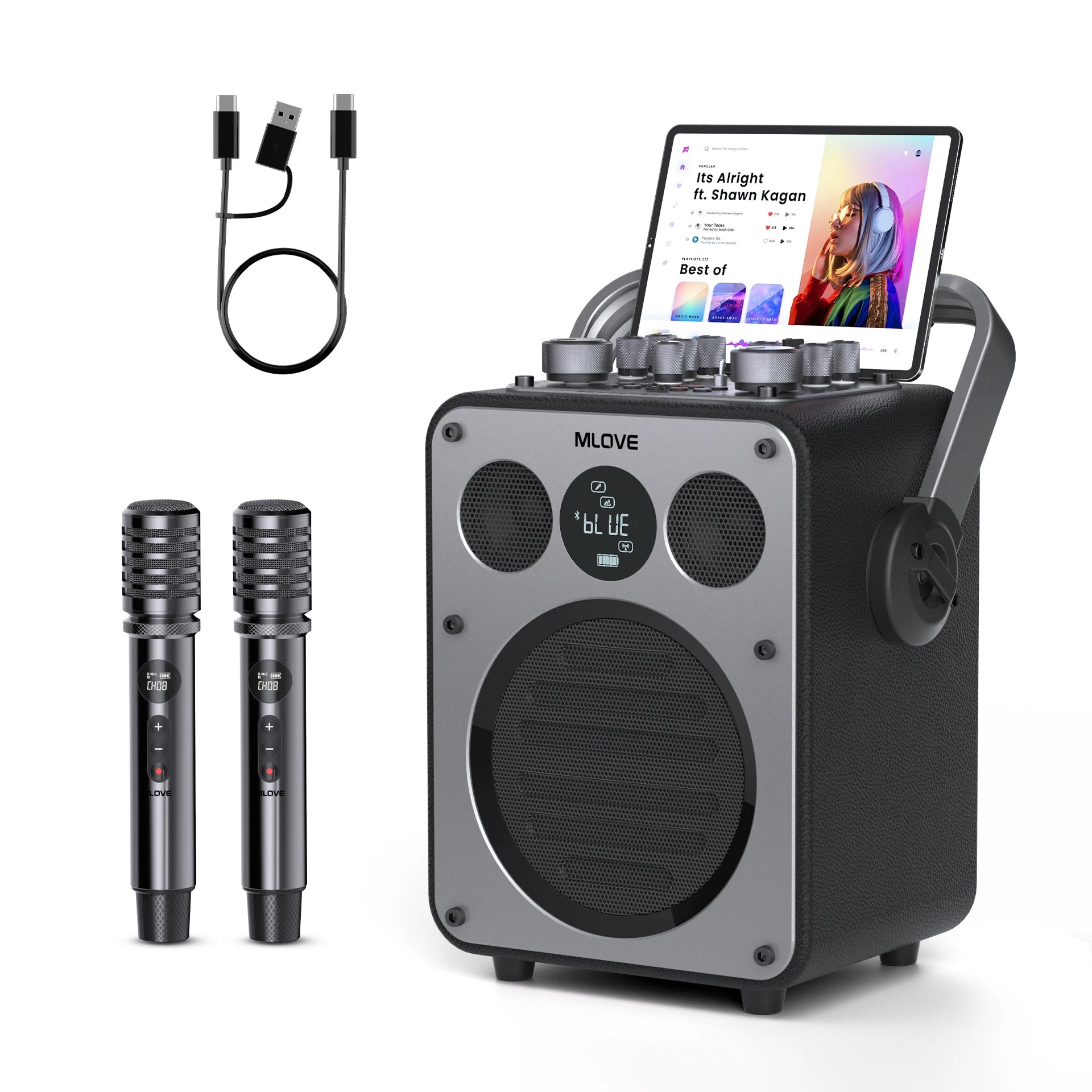 MLOVE D5 Professional Karaoke Machine for Adults with Bluetooth and 2 Wireless Microphones, Portable PA System Speaker, Recordin